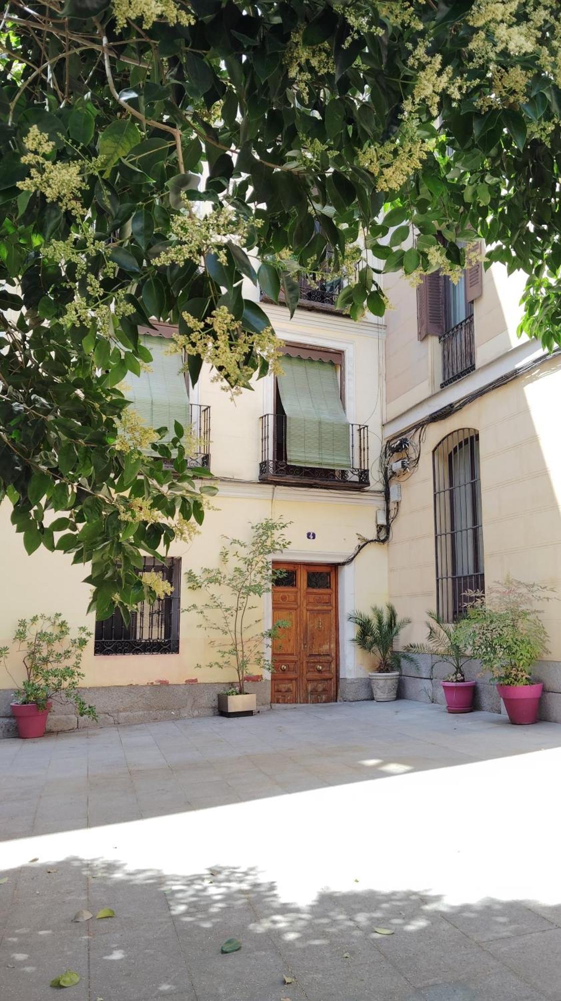 Centrico Apartamento Con Patio Madrid Ngoại thất bức ảnh